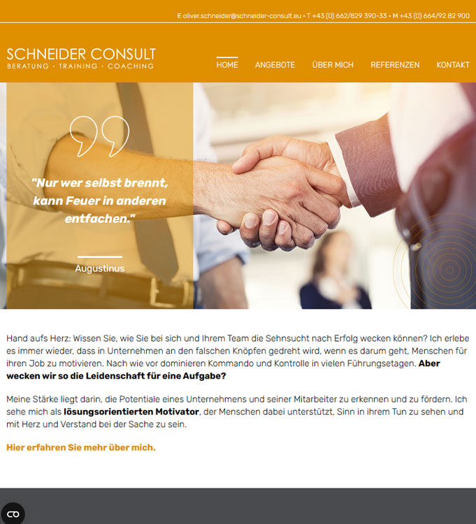schneider-consult website